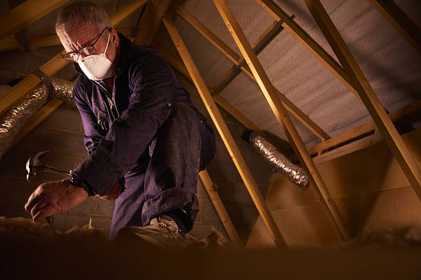 Best Residential Insulation in North Utica, IL