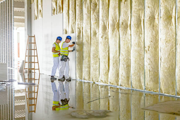Best Insulation Maintenance and Repair in North Utica, IL